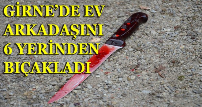 Ev arkadaşını bıçakladı