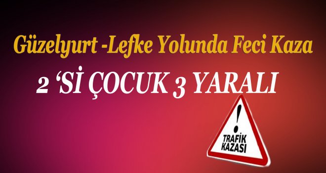 Feci kaza!