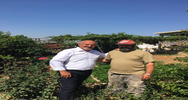 FİKRET CİVİSİLLİ, İSKELE KÖYLERİNDE ÜRETİMLE UĞRAŞAN KESİMLERİ ZİYARET ETTİ.