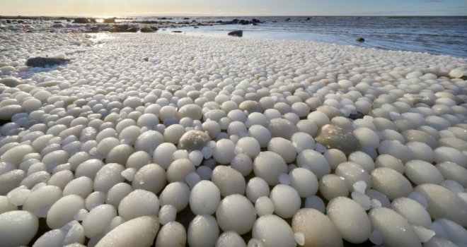 Finlandiya'da bir plaj 'buzdan yumurtalarla' kaplandı