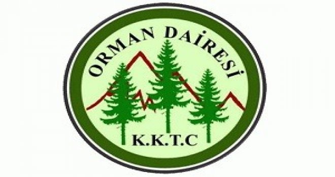 Fırat: Orman arazilerinin büyük bölümü çam kese böceği istilası altında