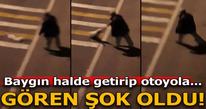 Giresun’da bir kişi baygın köpeği otoyola attı