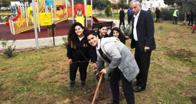 Girne Belediyesi’nin ağaçlandırma çalışmaları sürüyor