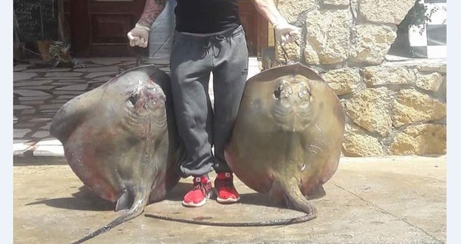 Görenleri şaşırttı!