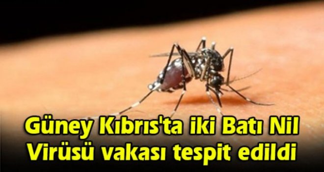 Güney Kıbrıs'ta iki Batı Nil Virüsü vakası tespit edildi