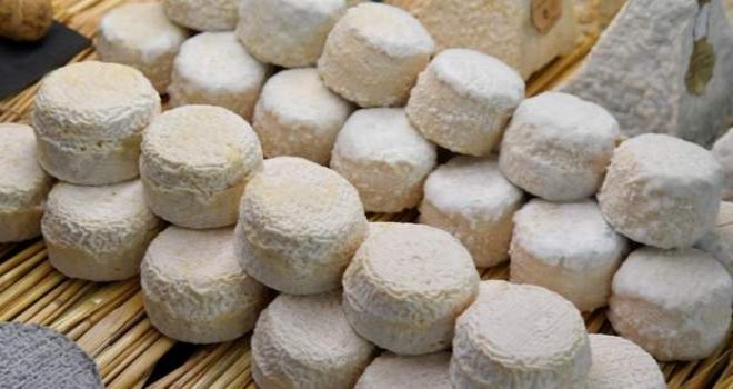 Güney’de İncir ve Halicia Festivalinde Kuzey’den ürün kullanıldığı iddiası tartışma yarattı