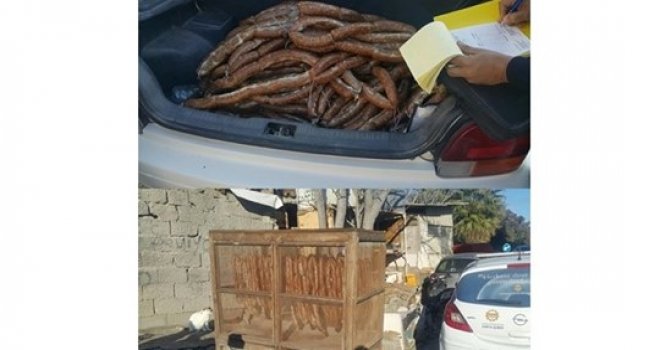 Halk sağlığına uygunsuz 47 kilo pastırma müsadere edildi
