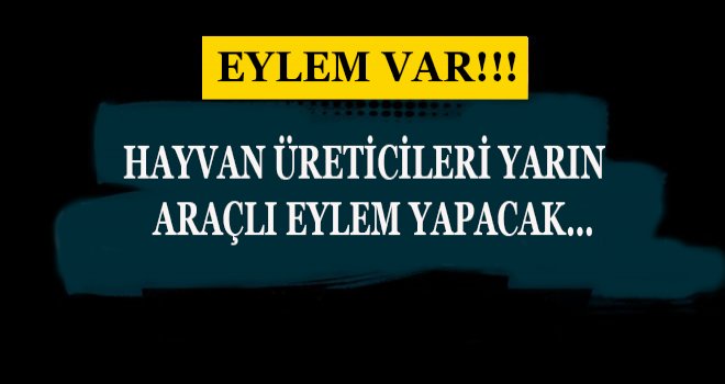 HAYVAN ÜRETİCİLERİ YARIN ARAÇLI EYLEM YAPACAK…