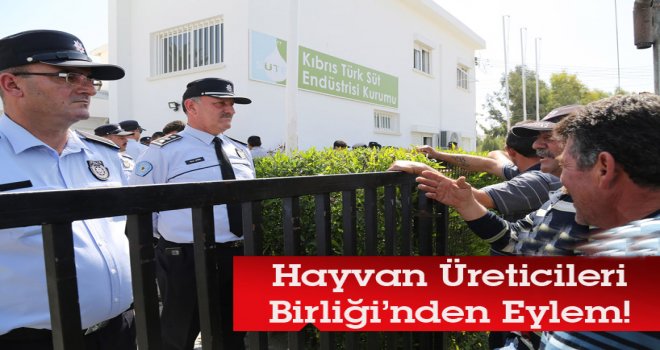 Hayvan Üreticilerinin Eylemi Sona Erdi