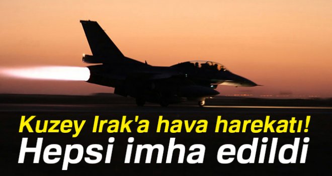 Hepsi imha edildi