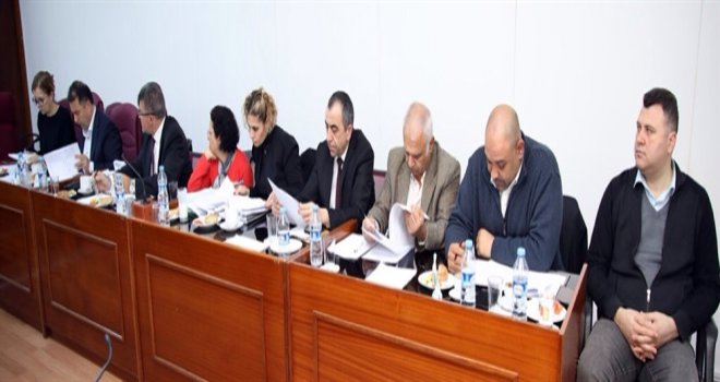 İDARİ, KAMU VE SAĞLIK İŞLERİ KOMİTESİ TOPLANDI.,