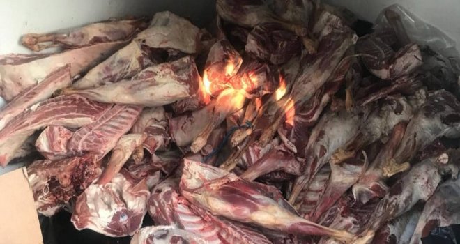 İnönü’de 500 kg kaçak et bulundu, bir kişi tutuklandı