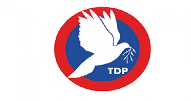 İşte TDP’de Muhtemelen Kazanan Vekiller