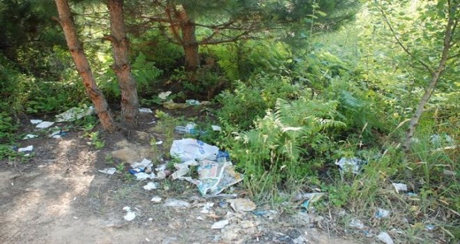 İyilik Gönüllüleri Boğaz Piknik Alanı’nı temizleyecek