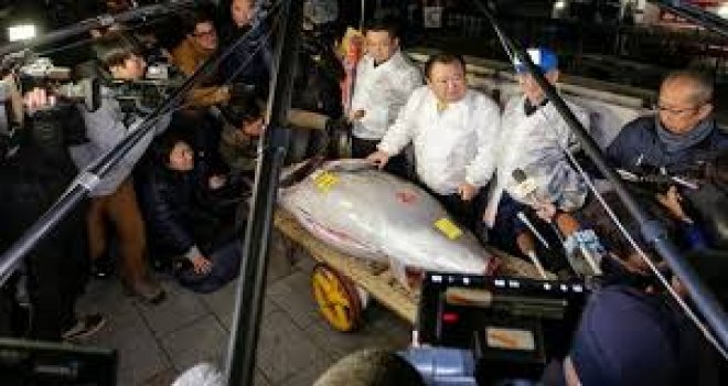 JAPONYA'DA YILIN İLK ORKİNOSU 320 BİN DOLARA SATILDI