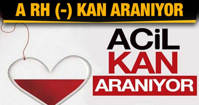 KAN ARANIYOR..