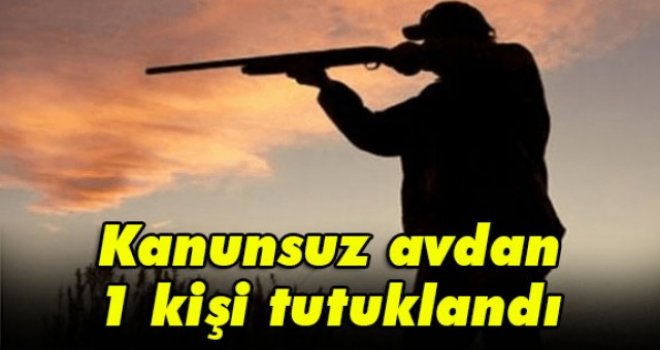 Kanunsuz avdan 1 kişi tutuklandı