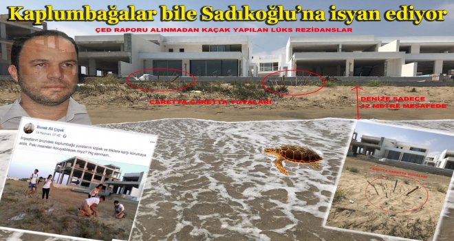 Kaplumbağalar bile Sadıkoğlu’na isyan ediyor