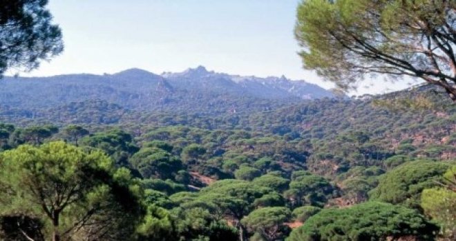 KEMA: Beşparmak ormanları, Orman Dairesi’ndeki eksikler yüzünden büyük yangın riski altında