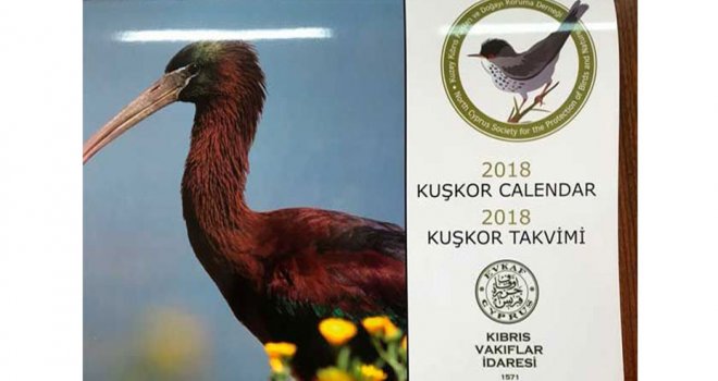 Kıbrıs Vakıflar İdaresi kuşların korunmasına destek verdi