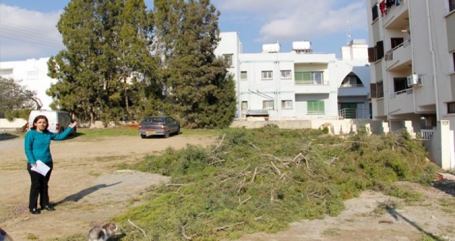 Kıbrıs'ın doğası katlediliyor! 