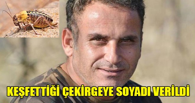 Kıbrıslı bilim insanının soyadı, keşfettiği çekirge türüne verildi
