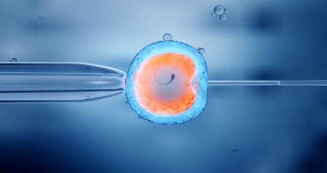 Kıbrıslı Rumlar tüp bebek için KKTC'de