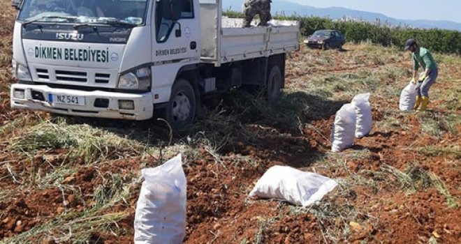 KTÖS, Dikmen Belediyesi’ne patates bağışladı