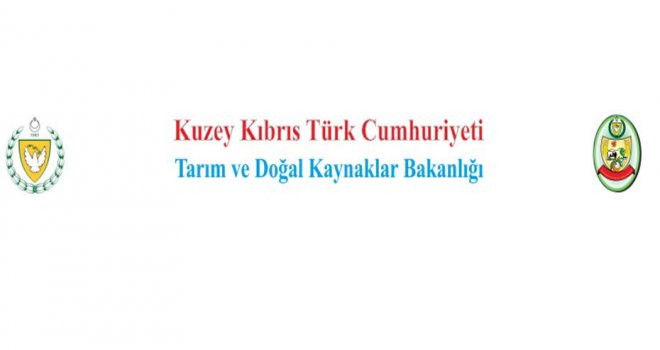 Küçükbaş hayvan desteği ödemeleri başladı