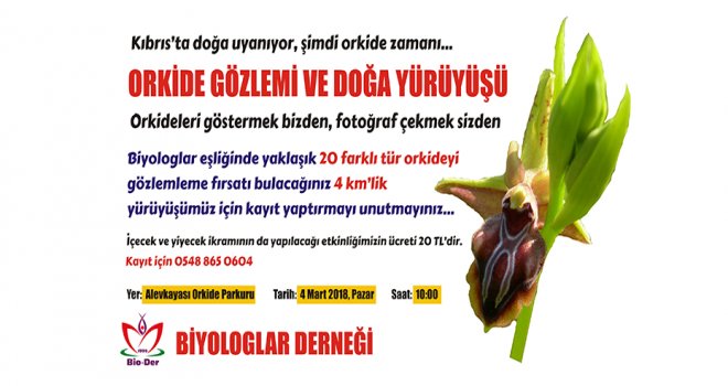 Lefke’deki 8. Geleneksel Orkide Vadisi Yürüyüşü Pazar günü