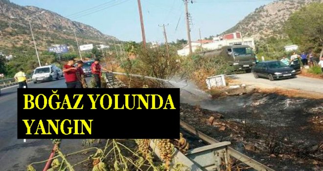 Lefkoşa - Girne yolunda yangın!