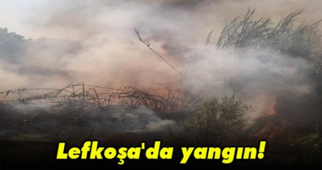 Lefkoşa'da yangın!