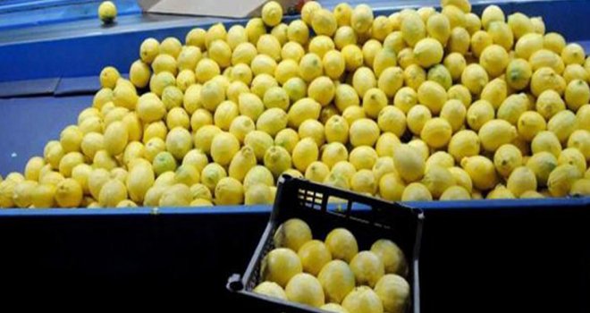 Limonataları 8 ülkeye ihraç etti