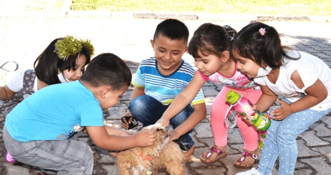 LTB çevre etkinliği düzenledi