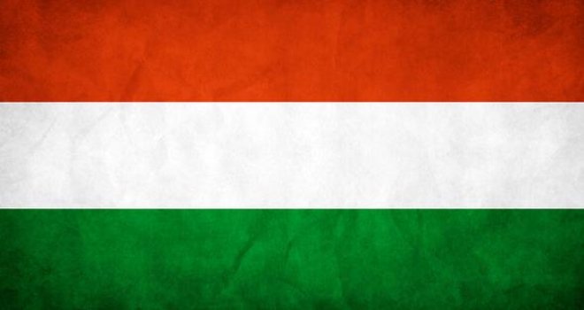 MACARİSTAN'DA YAHUDİ SOYKIRIMI'NI İNKAR EDENE ÇALIŞMA CEZASI