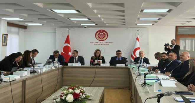 Maliye Bakanı Berova: Kayıt dışı ekonomi ile en etkin şekilde mücadele edilecek