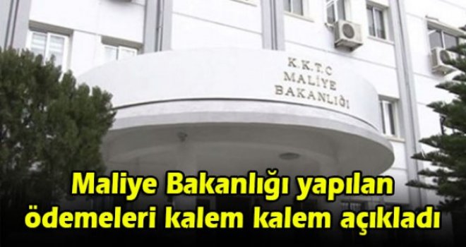 Maliye Bakanlığı yapılan ödemeleri kalem kalem açıkladı