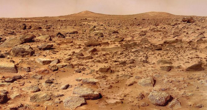 Mars'ta hayatta kalabilecek bir bitki bulundu