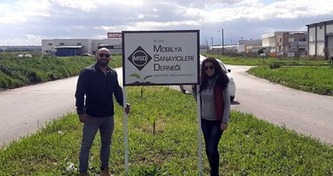 Mobilya Sanayicileri Derneği Alayköy Bölgesi’nde hurma ağacı dikti