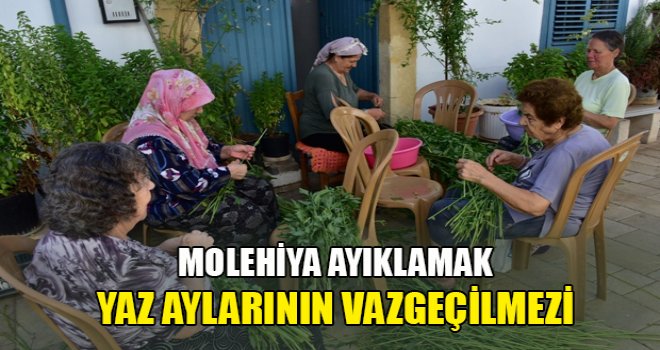 Molehiya ayıklamak yaz aylarının vazgeçilmezi