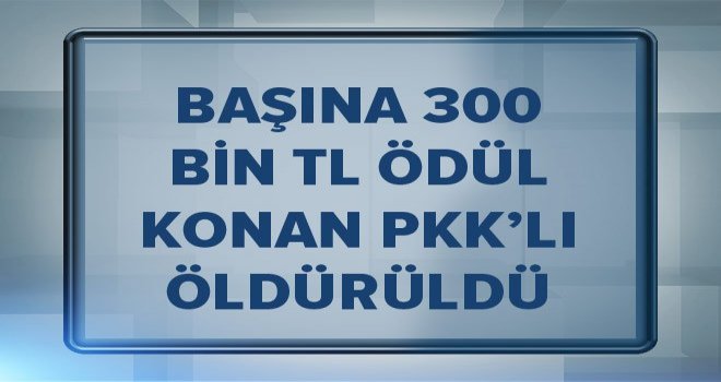 O PKK'lı öldürüldü.