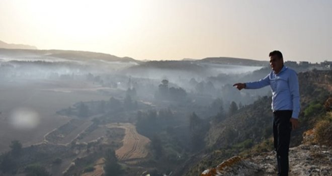 Oğuz, Anıt ağaçların yer aldığı arazi sahiplerine, ağaçlarının etraflarını temizleme çağrısı yaptı