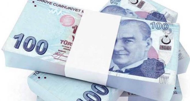 ORGANİK TARIM ÜRETİMİ YAPAN SERTİFİKALI 46 ÜRETİCİYE 114 BİN TL