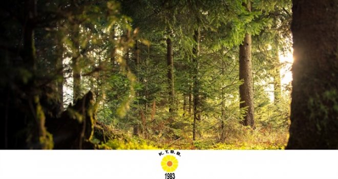 ORMAN HAFTASI VE AĞAÇ BAYRAMI