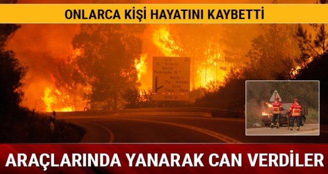 Orman yangınında en az 25 kişi öldü