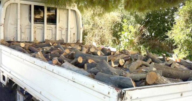 ORMANCILAR, KAÇAK AĞAÇ KESİMİNE KARŞI CAYDIRI CEZA TALEP ETTİ.