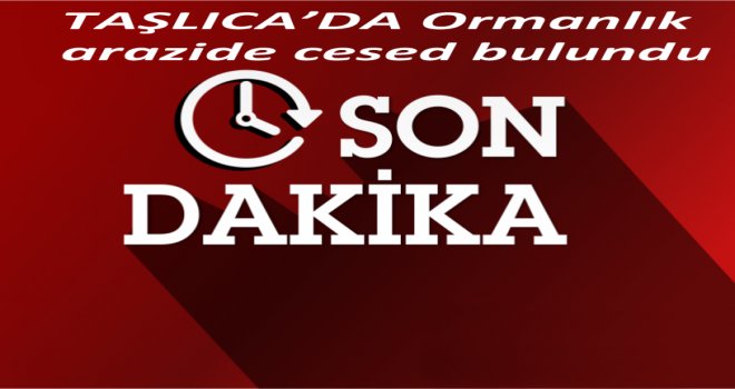 Ormanlık alanda ceset bulundu