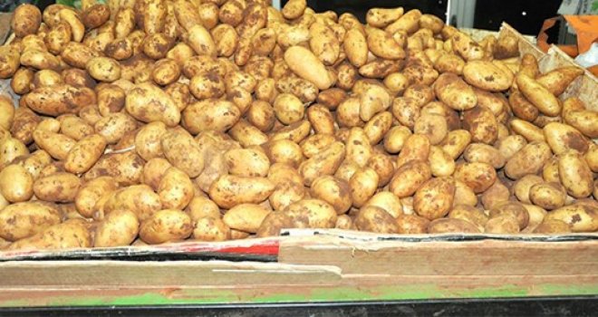 Örnek dayanışa: KTÖS üreticilerden 35 ton patates satın aldı