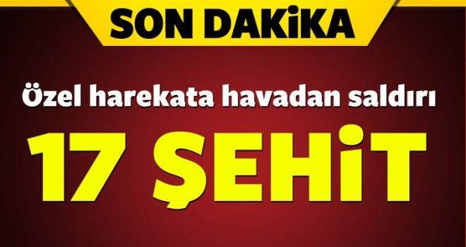 Özel Harekat'a saldırı 17 şehit