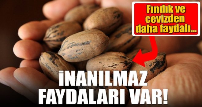 Pikan cevizi tüketmenin inanılmaz faydaları!